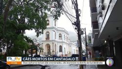 ‘estao-envenenando-os-animais’,-diz-veterinaria-que-denunciou-morte-de-oito-caes-a-delegacia-de-cantagalo