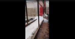 chuva-de-granizo-surpreende-moradores-de-teresopolis;-video