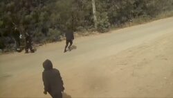 bandidos-de-preto-se-camuflam-na-mata-para-assaltar-ceramica-em-campos;-video
