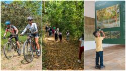 novo-roteiro-de-cicloturismo-e-trilhas-guiadas-sao-atracoes-gratuitas-no-parque-ecologico-mico-leao-dourado,-em-silva-jardim,-neste-sabado