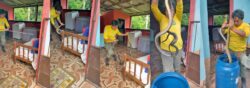 video:-morador-encontra-cobras-acasalando-debaixo-da-cama;-‘pombinhos’-sao-resgatados